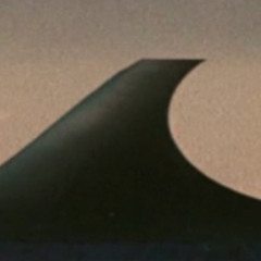datum signus