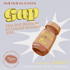 MMS #22: Gap - The 3rd Illusion of Liquid Sounds Mix