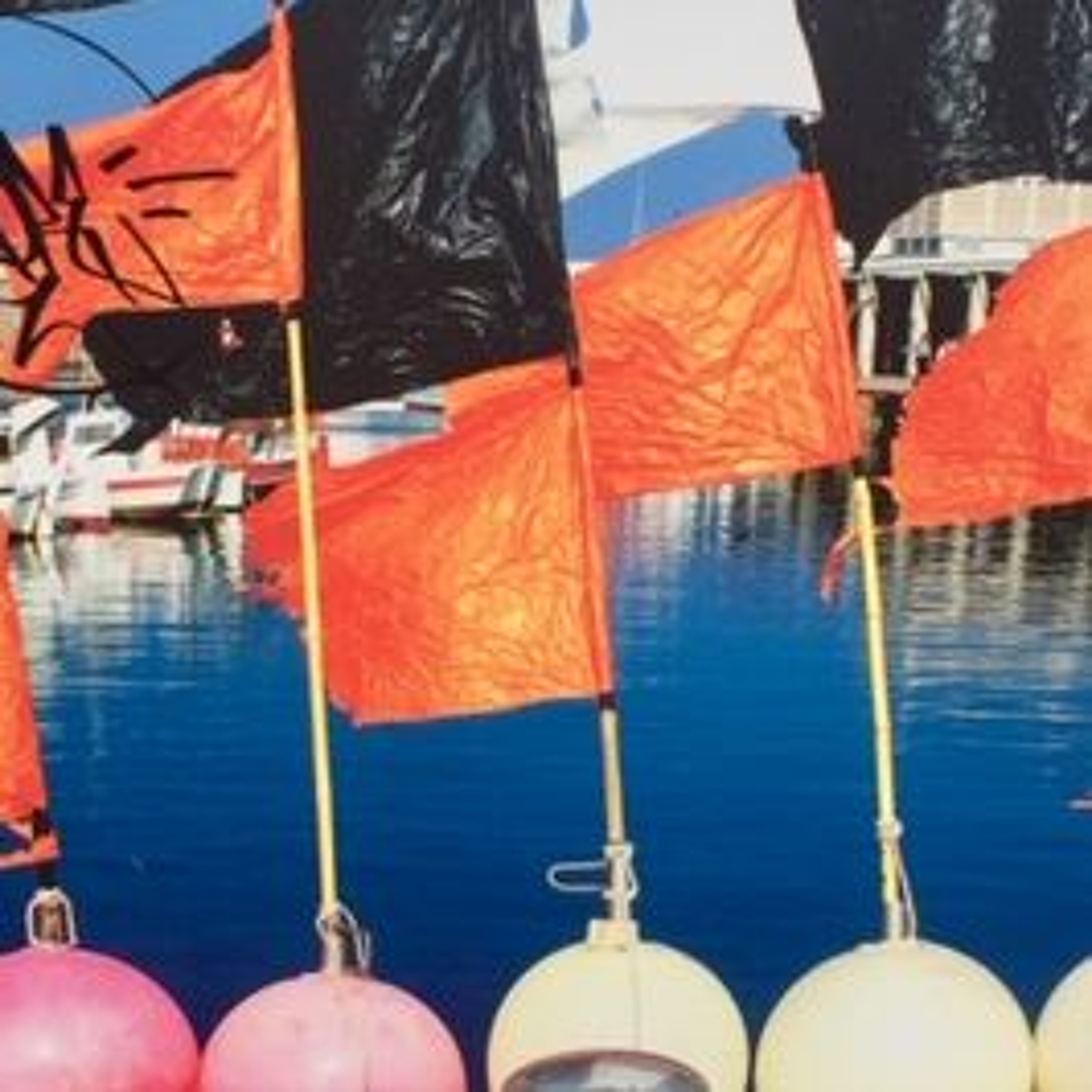 Penne, dresser le troupeau