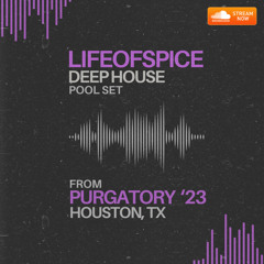 Purgatory '23 Houston - Deep House Pool Set