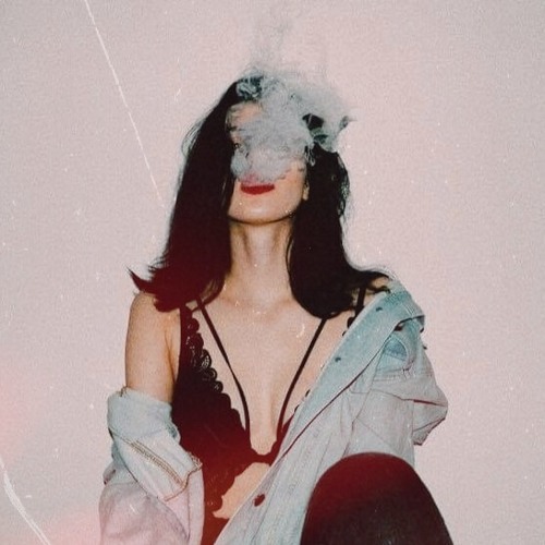 Chameleon-SANDRA N