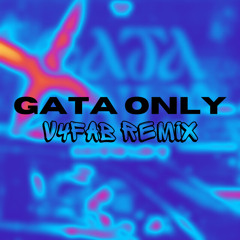 Gata Only (V4FAB Private Remix) mp3