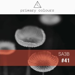 Primary [colours] Mix Series #41 - SA3B