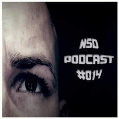 New Sky Dingsdabumsda Podcast 014 By Dj Bisk