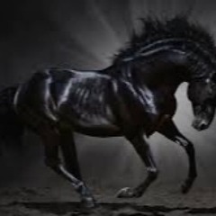 (Free) Dark Trap beat- “Dark Horse”