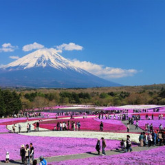Review Special Price Mt. Fuji Hakone Full-Day Private Tour with English Driver Guide