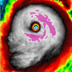 Fuk a hurricane bitch i am made of pain😢😢
