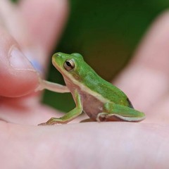 Edith's Friday Meditation