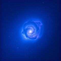 Stardust Lover