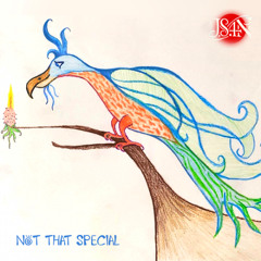 Not That Special
