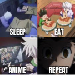 Hunter X Hunter