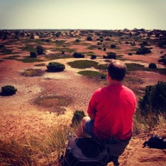 Mit Hjerte Det Blev Anholt