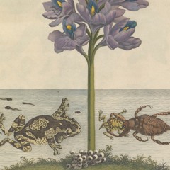 The Habitats Suite — III. Pond Sediment