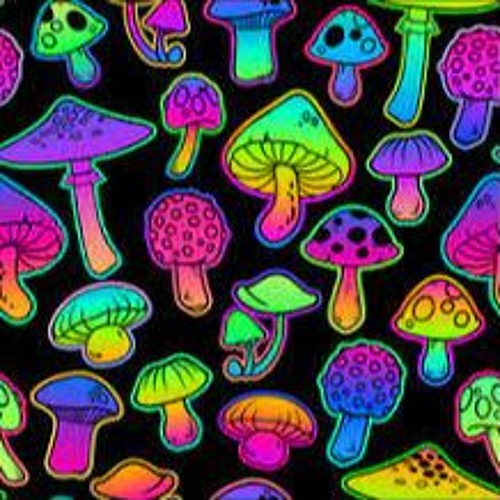 When the Mushrooms start "Trippin"