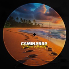Reboot - Caminando (Blaqq & Why'd Edit)