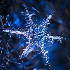 OPEN DECKS: SILO BROOKLYN 12.17.25 [LIVE REC EXTENDED VER]