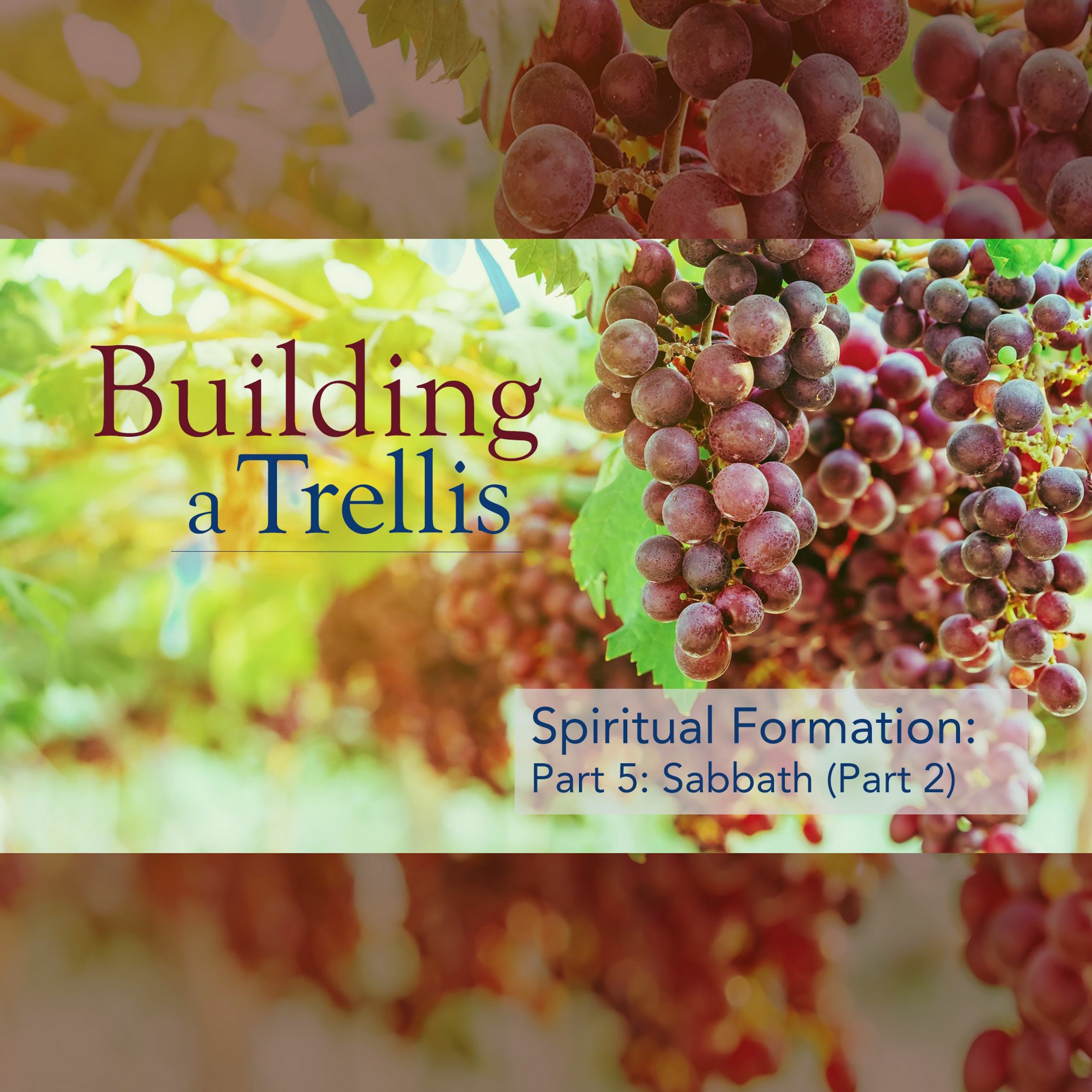 Building a Trellis, Part 5, Sabbath (Part 2) episode artwork