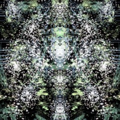 DC Promo Tracks: Rob Thompson "Phase Reflect"