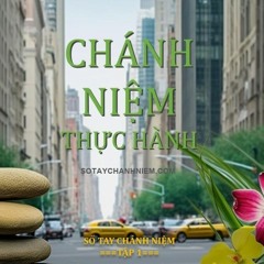 Check - In Chánh Niệm - Lời Mở Đầu
