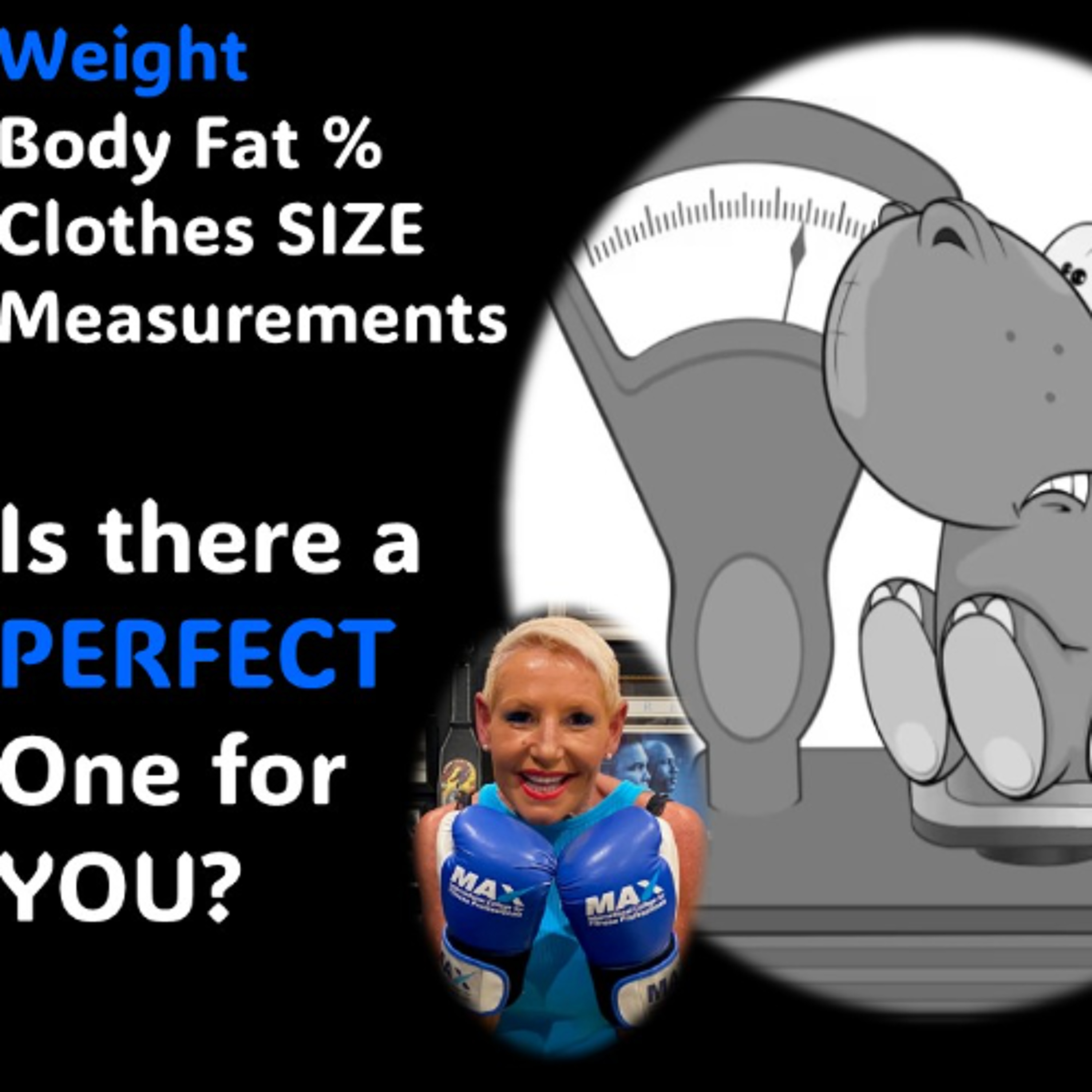 Your Perfect WEIGHT-Size-Body Fat% episode artwork