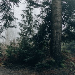 Meditative bass music