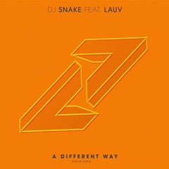 Dj Snake & Lauv - A Different Way ( Xpecta Remix )