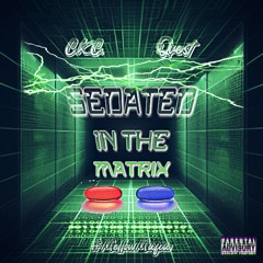 SedatedInTheMatrixQuestCKC.m4a