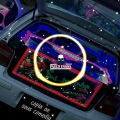VEM QUE SOU CACHORRA (ELETRO FUNK) DJ PAULO EVANS