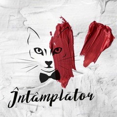 The Motans - Intamplator