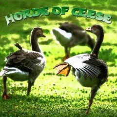 Horde Of Geese