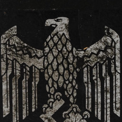 1111 "THE RISE OF THE REICH" - RACIAL PROFILING AND REPRESSION IN THE UNITED STATES