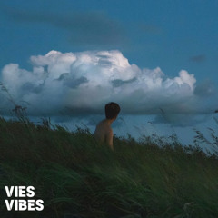 VIES VIBES - Destination Unknown | OUT NOW