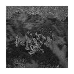 PREMIERE: Paul Hauck - Trust [KSRDGTL028]