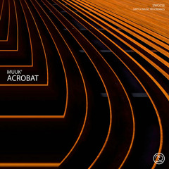 PREMIERE: Muuk - Abstract (Joseph DL Remix) [Switch Music Recordings]