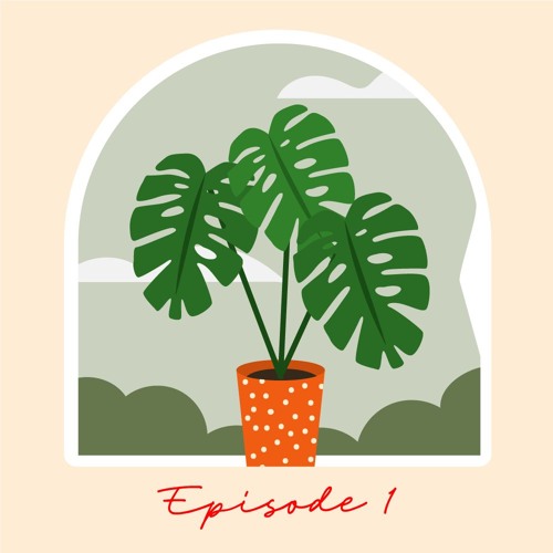 Episode1 - Understanding Sensitivity