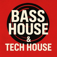 Bass house & Tech house mix[DJ.Luna_vol.1]