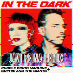 In The Dark (Javi Reina Remix)
