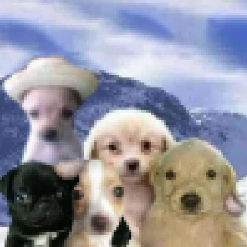 funnybop