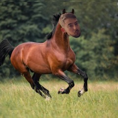 Half Horse Half Man x IMY