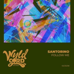 FOLLOW ME (WYLDCARD)