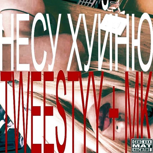 НЕСУ ХУИНЮ! + MK [PROD. FOREALBEAVER]