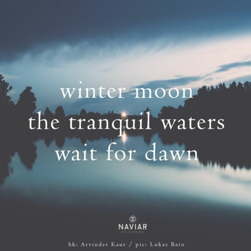 Winter Moon_Naviarhaiku468