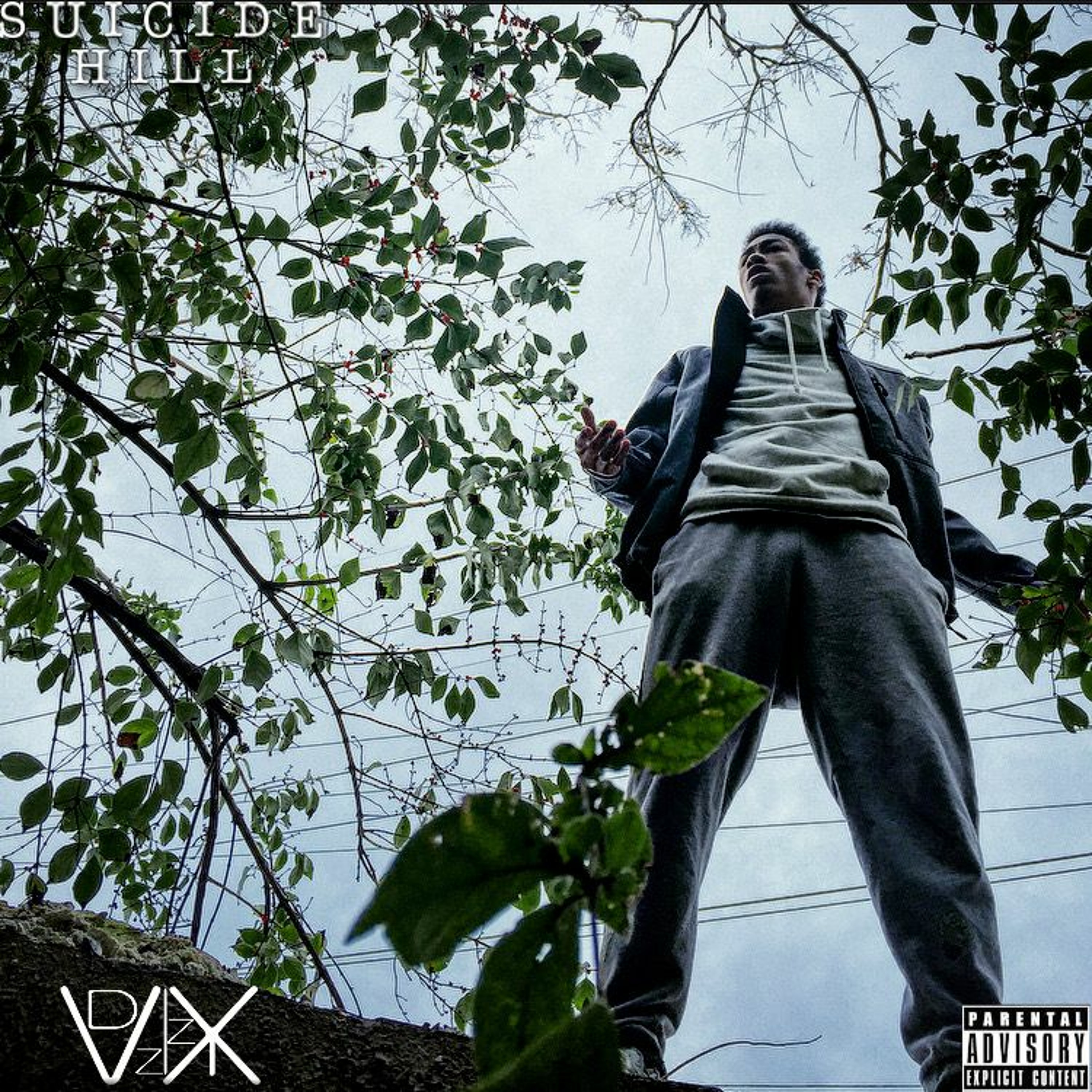 SIMULATION (Prod. By Rih314) episode artwork
