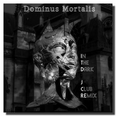 In The Dark  J Club Remix of Dominus Mortalis