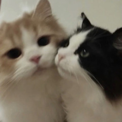 Lil Ballz - อย่าไปน่ารักกับใคร slowed