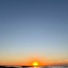 Summer Nights