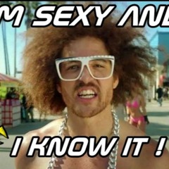 SEXY AND I KNOW IT - DJ BRIK REMIX