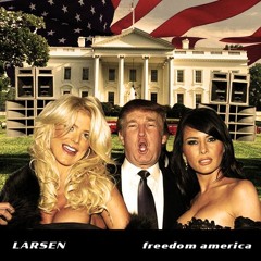 LARSEN - Freedom America