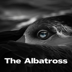 The Albatross
