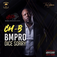 BMPro Dice Sorry